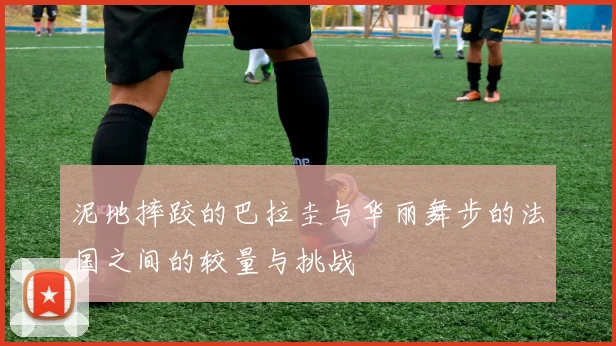 泥地摔跤的巴拉圭与华丽舞步的法国之间的较量与挑战