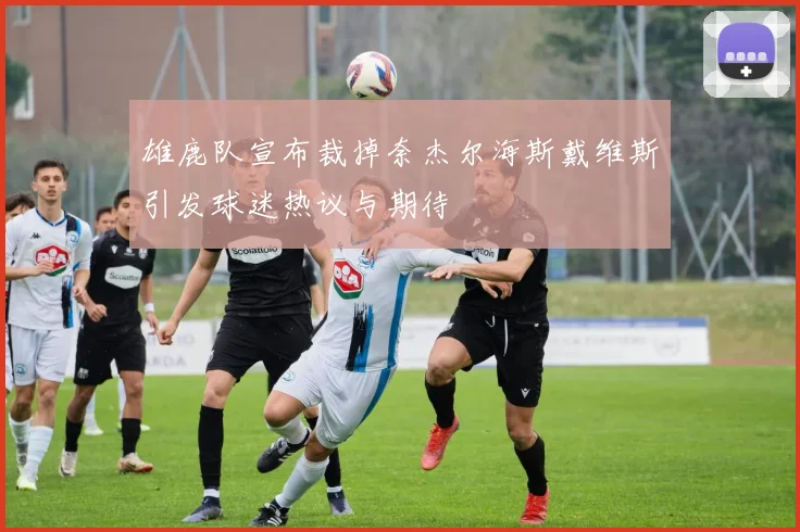 雄鹿队宣布裁掉奈杰尔海斯戴维斯引发球迷热议与期待