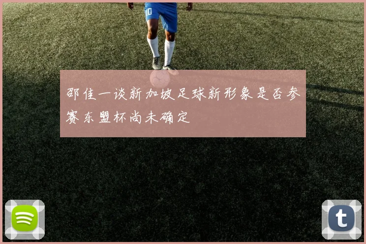 邵佳一谈新加坡足球新形象是否参赛东盟杯尚未确定