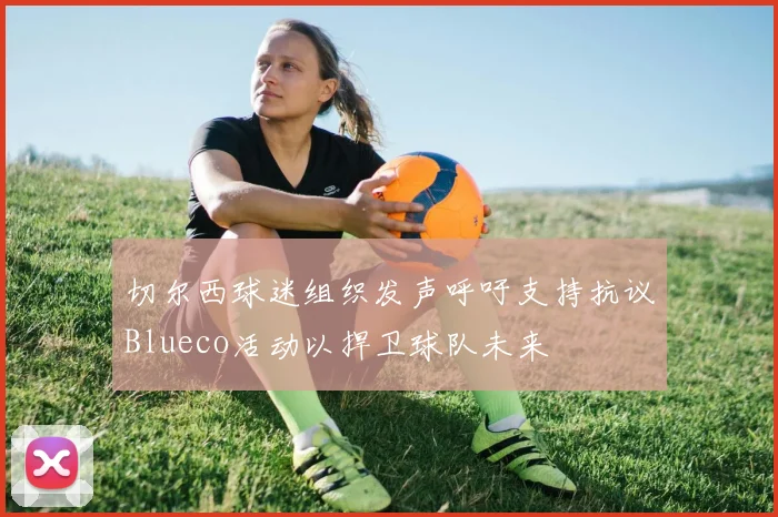 切尔西球迷组织发声呼吁支持抗议Blueco活动以捍卫球队未来